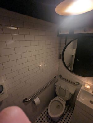 Toilet - adapted but small at Double Zero in New York City