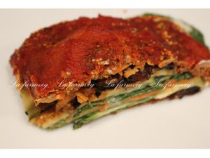 raw lagsaña at La Farm Veg in Medellin