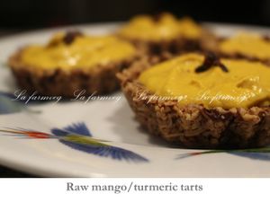 mango litle cakes at La Farm Veg in Medellin