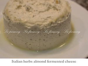 almond fermented cheese at La Farm Veg in Medellin