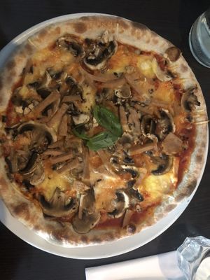   at Feca in Stockholm