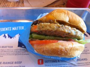 vegan burger at Elevation Burger in Rye Brook