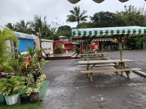 View of the surrounding trucks. Holey Grail donuts in the background!!! It was closed :( at Cafe Turmeric in Hanalei