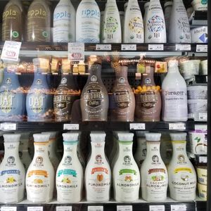 Vegan milks at Ramona Family Naturals in Ramona