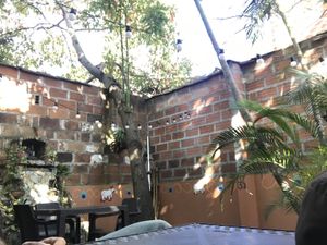 Outdoor seating area at Tulsi Plant Based in Envigado