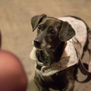 The Green Market Berlin at The Green Market Berlin in Berlin