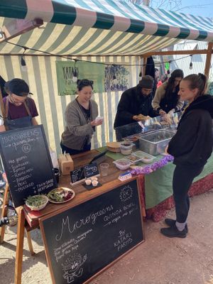 Microgreens  at The Green Market Berlin in Berlin