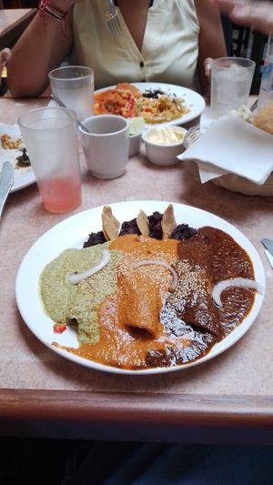 Enchiladas veganas a los tres moles at La Zanahoria - Centro in Puebla