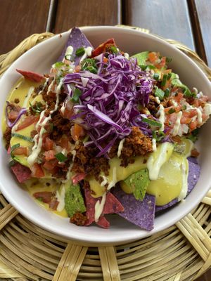 Starter nachos that I wish had a little more toppings, maybe beans  at La Pitahaya Vegana in Mexico City