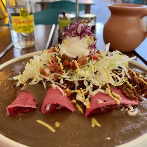 enfrijoladas  at La Pitahaya Vegana in Mexico City