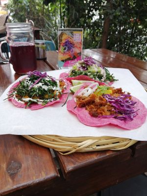 Te dan en paquete 3 tacos y eliges los que quieres. El crudivegano está buenísimo. at La Pitahaya Vegana in Mexico City