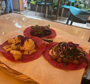 Tres tacos  at La Pitahaya Vegana in Mexico City