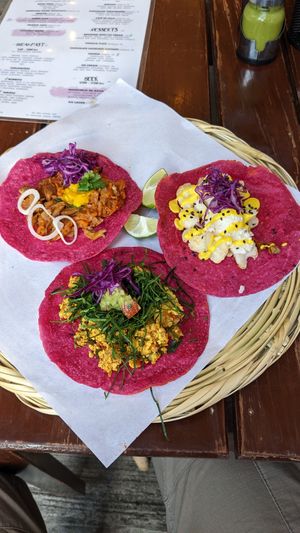  at La Pitahaya Vegana in Mexico City