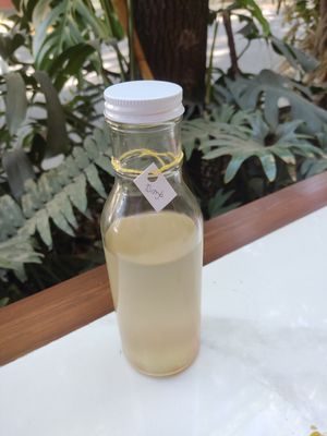 Kombucha de toronja, no pedir at La Pitahaya Vegana in Mexico City