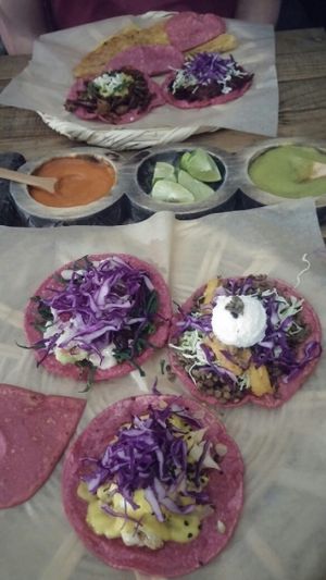 various tacos. very beautiful and unique.  at La Pitahaya Vegana in Mexico City