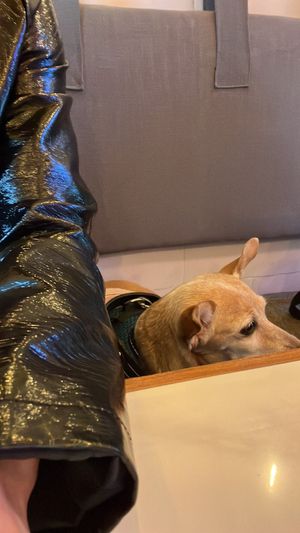   at La Pitahaya Vegana in Mexico City