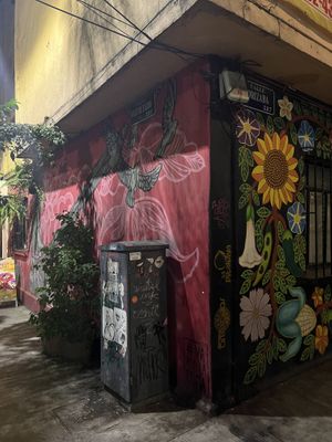   at La Pitahaya Vegana in Mexico City