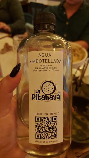  at La Pitahaya Vegana in Mexico City