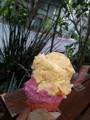  at La Pitahaya Vegana in Mexico City