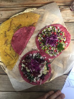 quesadilla que sabe a quesadilla at La Pitahaya Vegana in Mexico City