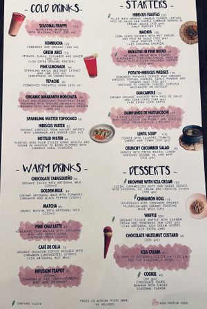   at La Pitahaya Vegana in Mexico City