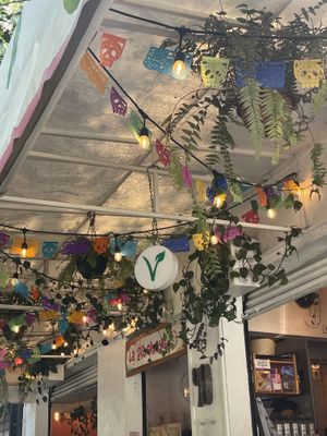 Cute patio/terrace  at La Pitahaya Vegana in Mexico City