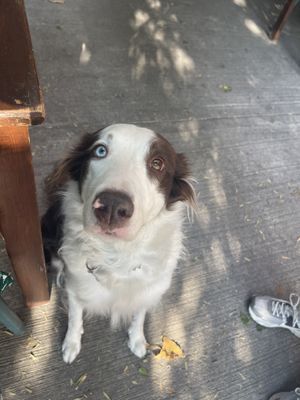 GRETA!  at La Pitahaya Vegana in Mexico City