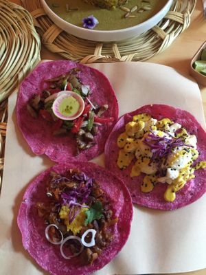 Colorful tacos  at La Pitahaya Vegana in Mexico City