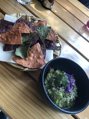 Starters guacamole and cucumber  at La Pitahaya Vegana in Mexico City