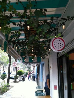 Entry at La Pitahaya Vegana in Mexico City