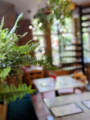  at Cafe Van Gogh in South West London