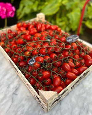  at Cafe Van Gogh in South West London