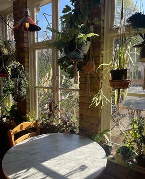  at Cafe Van Gogh in South West London