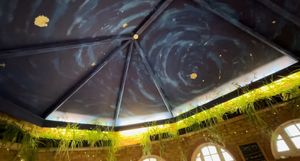   at Cafe Van Gogh in South West London