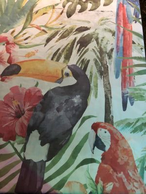 I liked the table cloth 😺 at Bohemia Restaurant in Pedasi