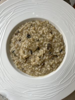   at OrtoZero Cafe in Alessandria