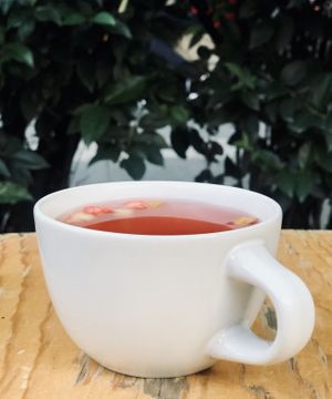 Te at Vegamo Centro in Mexico City