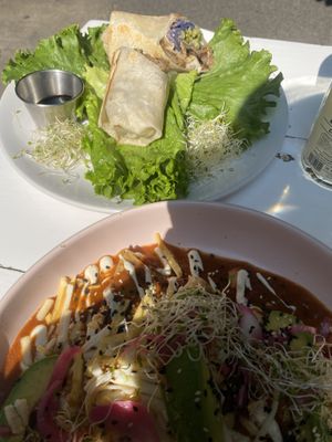 Delicious and filling meal at Vegamo Centro in Mexico City