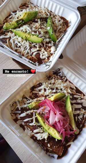  La comida es deliciosa, buen precio y todo es vegano, de mis restaurantes favoritos.   at Vegamo Centro in Mexico City