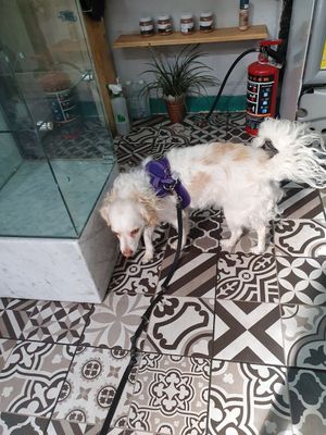 ❤ at Vegamo Centro in Mexico City