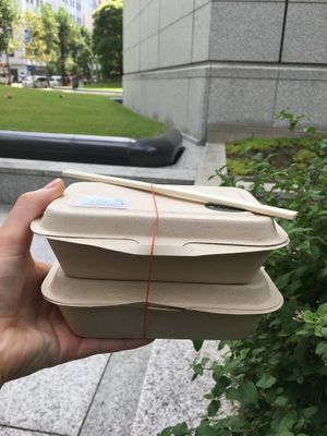 Bento Box at Shizenkan in Osaka