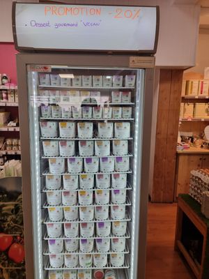 Icecream at Biomonde L'Echoppe Bio in Joyeuse