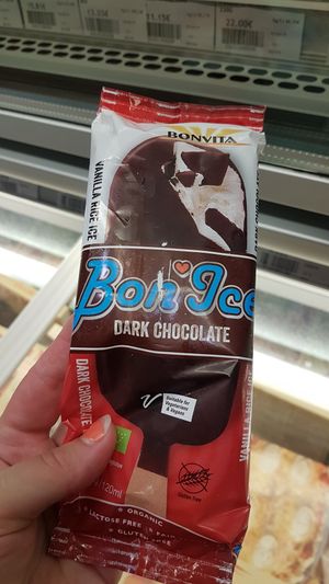 Vegan ice cream at Biomonde L'Echoppe Bio in Joyeuse