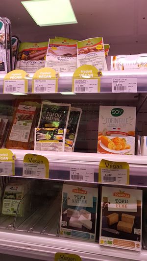 Tofu stuff at Biomonde L'Echoppe Bio in Joyeuse