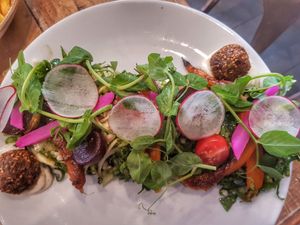 Yogi plate at Speedo's Cafe in Bondi Beach