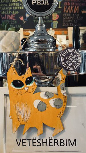 “Home is where my cat is" at Dit e Nat in Pristina