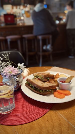 Avocado sandwich, ordered vegan and came with no cheese and ketchup instead of mayo for the fries at Dit e Nat in Pristina