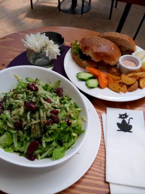 Burger and salad (vegan on request) at Dit e Nat in Pristina