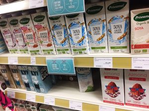 non dairy milks at Holland & Barrett in Rochester