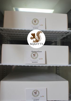 Squitti's Catering at Squitti in Utrecht